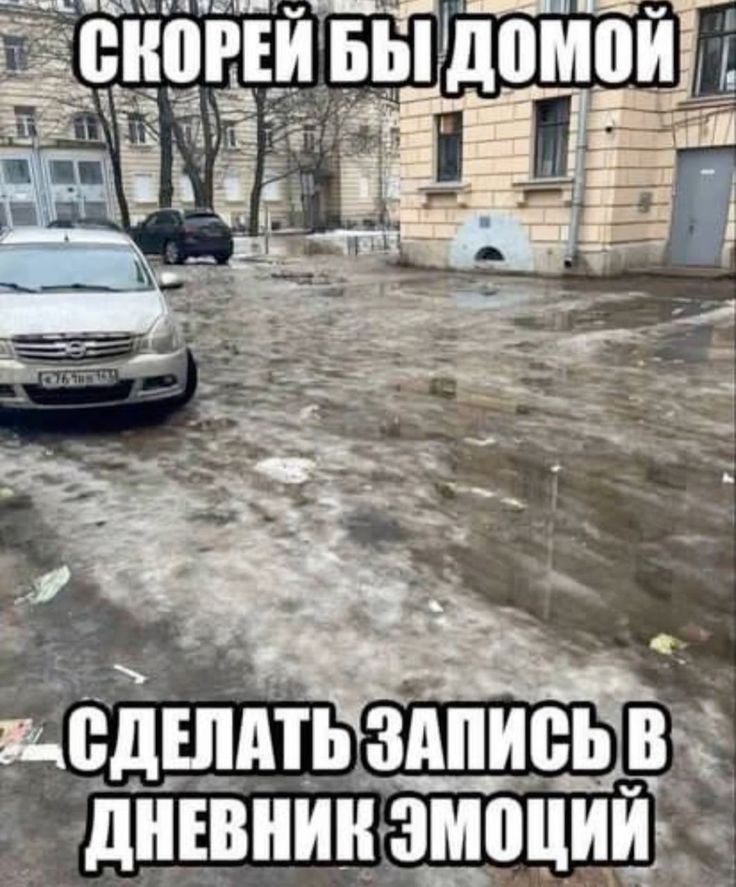 острицы, власоглав, аскариды. яйца глистов на туалетной бумаге остриц. пикчи выходи за меня. человек за окном. стих вышел заяц на крыльцо почесать своё яйцо.